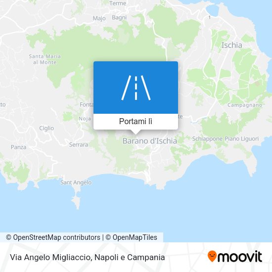 Mappa Via Angelo Migliaccio