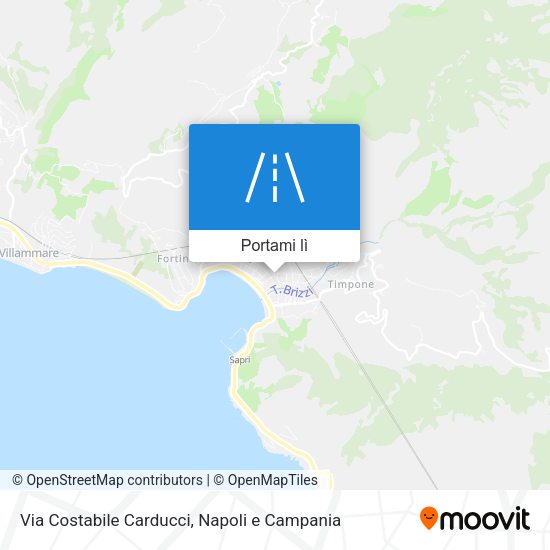 Mappa Via Costabile Carducci