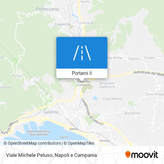 Mappa Viale Michele Peluso