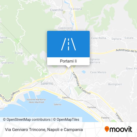 Mappa Via Gennaro Trincone