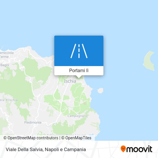 Mappa Viale Della Salvia