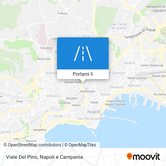 Mappa Viale Del Pino