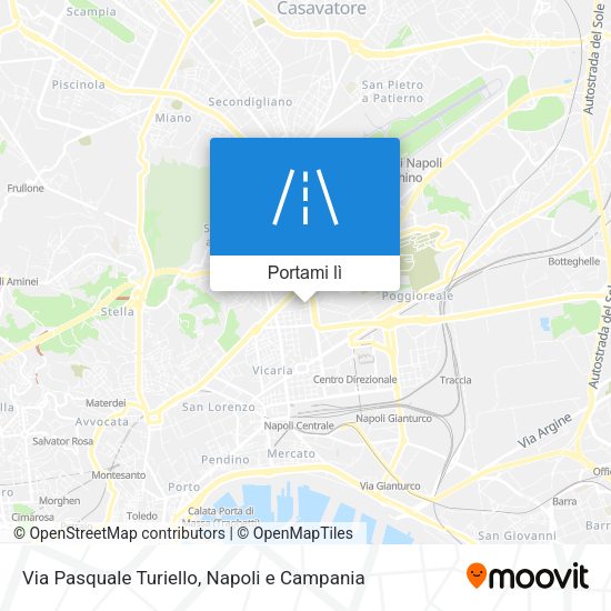 Mappa Via Pasquale Turiello