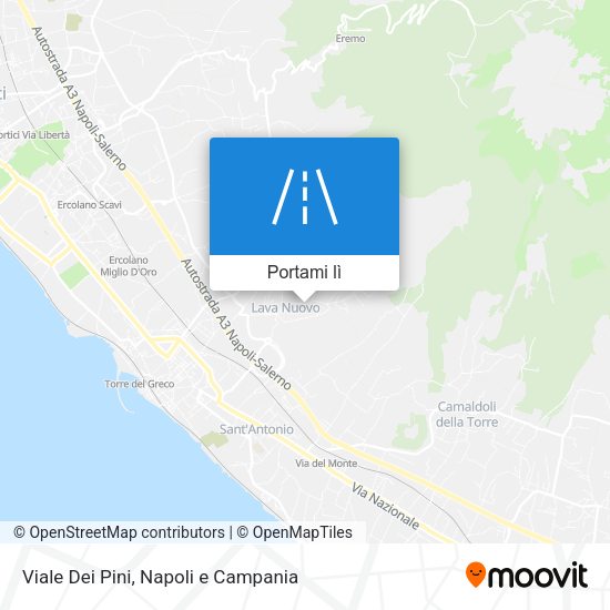 Mappa Viale Dei Pini