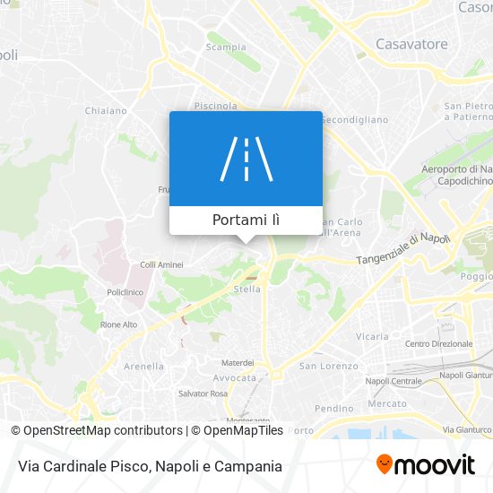 Mappa Via Cardinale Pisco