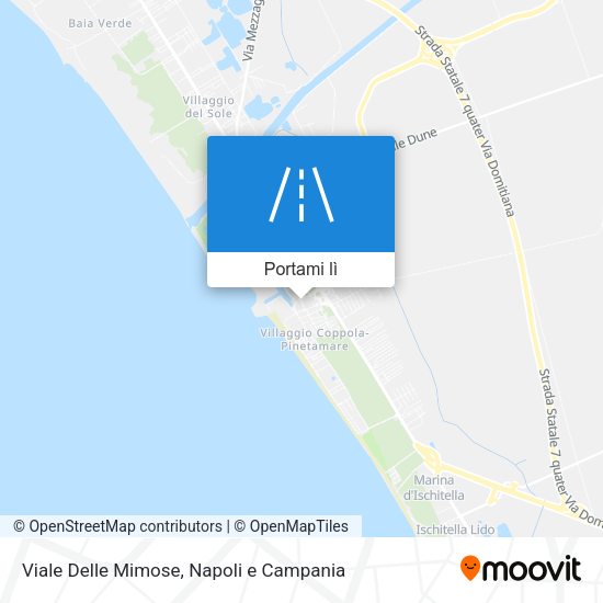 Mappa Viale Delle Mimose