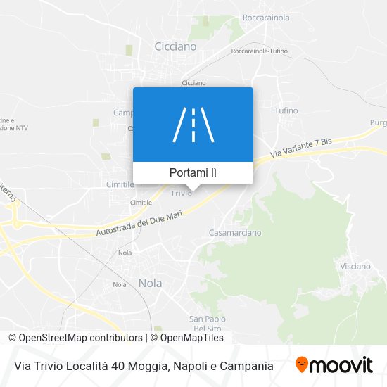 Mappa Via Trivio Località 40 Moggia