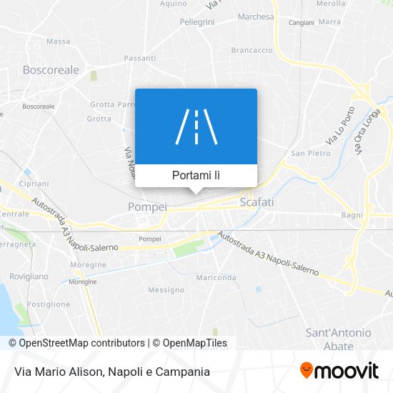 Mappa Via Mario Alison