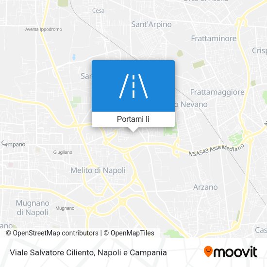 Mappa Viale Salvatore Ciliento