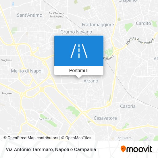 Mappa Via Antonio Tammaro