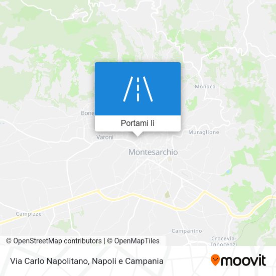 Mappa Via Carlo Napolitano