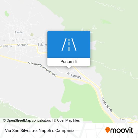 Mappa Via San Silvestro