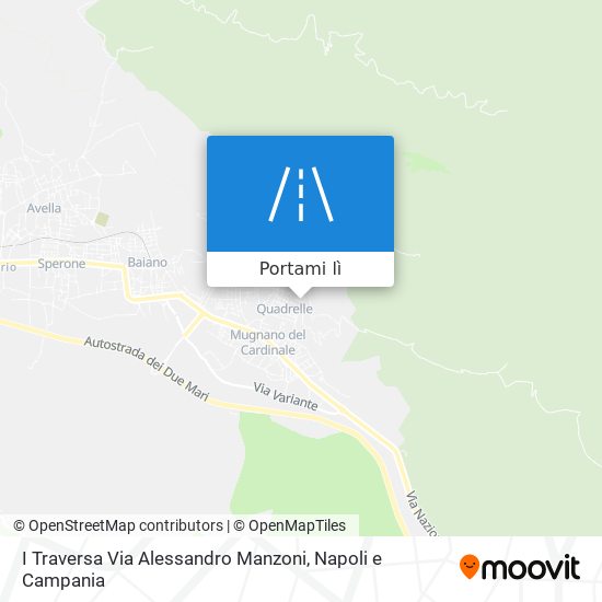 Mappa I Traversa Via Alessandro Manzoni