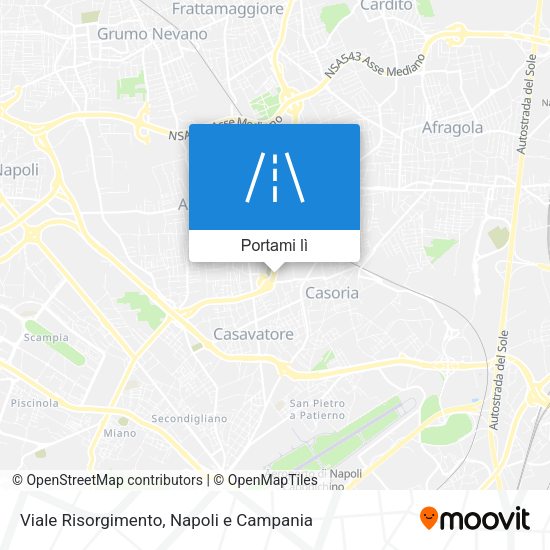 Mappa Viale Risorgimento