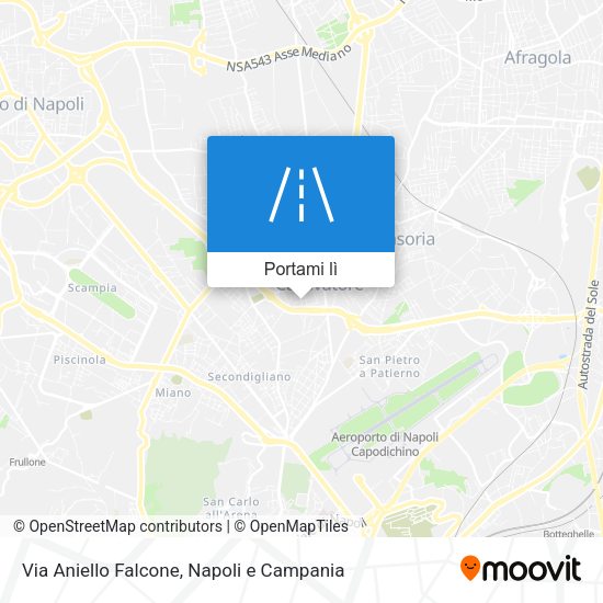 Mappa Via Aniello Falcone
