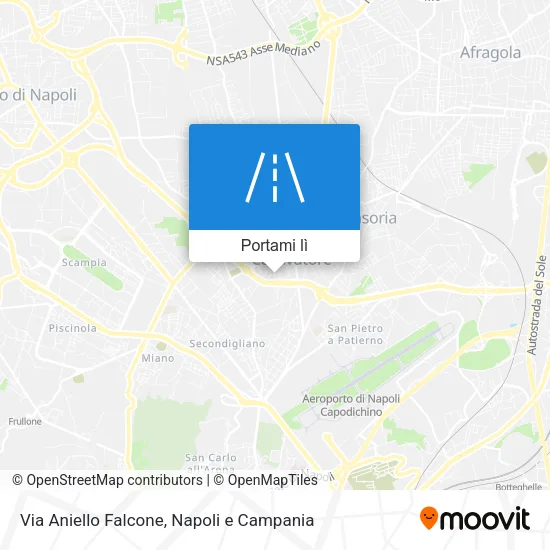 Mappa Via Aniello Falcone