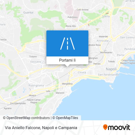 Mappa Via Aniello Falcone