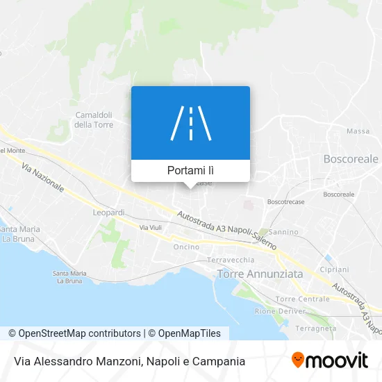 Mappa Via Alessandro Manzoni