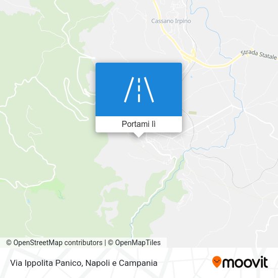 Mappa Via Ippolita Panico