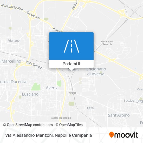 Mappa Via Alessandro Manzoni