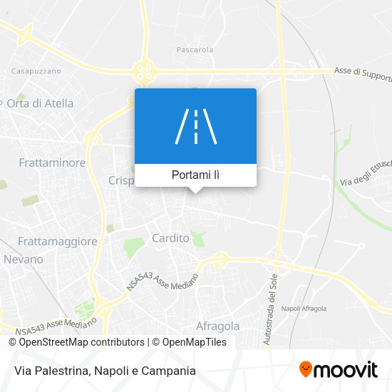 Mappa Via Palestrina