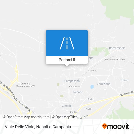 Mappa Viale Delle Viole