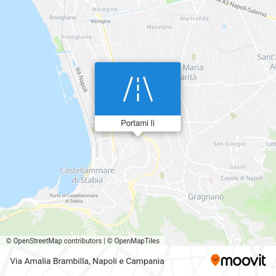 Mappa Via Amalia Brambilla