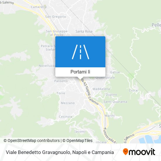 Mappa Viale Benedetto Gravagnuolo