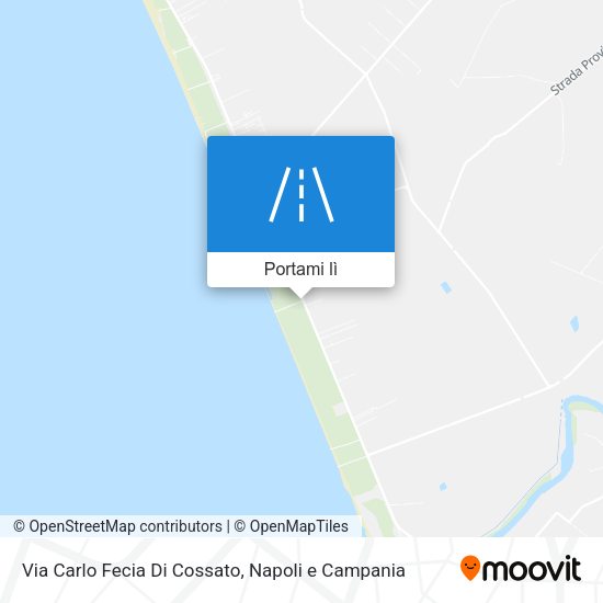 Mappa Via Carlo Fecia Di Cossato