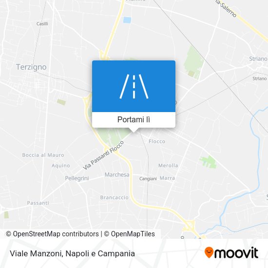 Mappa Viale Manzoni