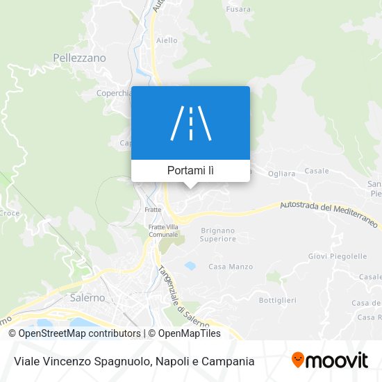 Mappa Viale Vincenzo Spagnuolo