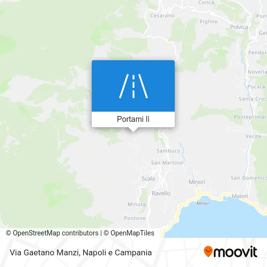 Mappa Via Gaetano Manzi