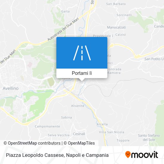 Mappa Piazza Leopoldo Cassese