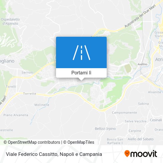 Mappa Viale Federico Cassitto