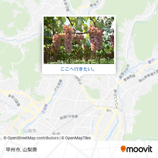 甲州市地図