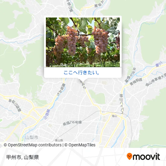 甲州市地図