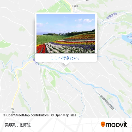 美瑛町地図