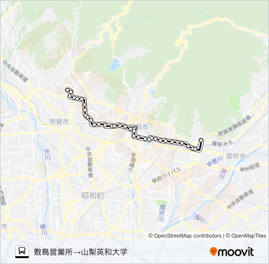 91:敷島営業所発  山梨英和大学方面行き バスの路線図