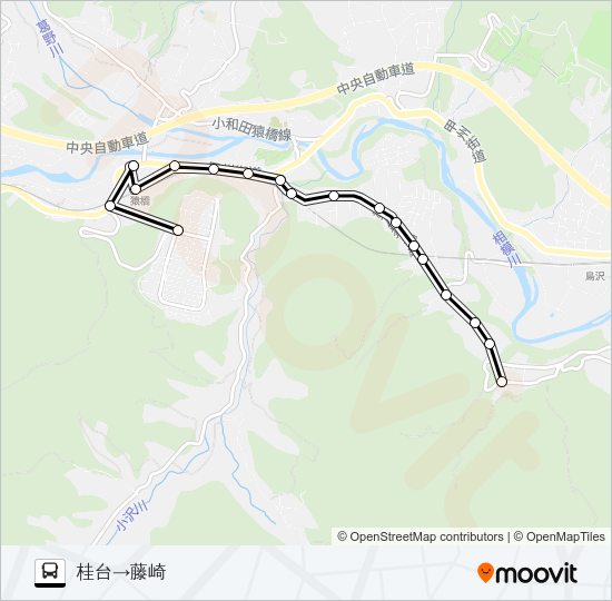 桂台発  藤崎方面行き バスの路線図