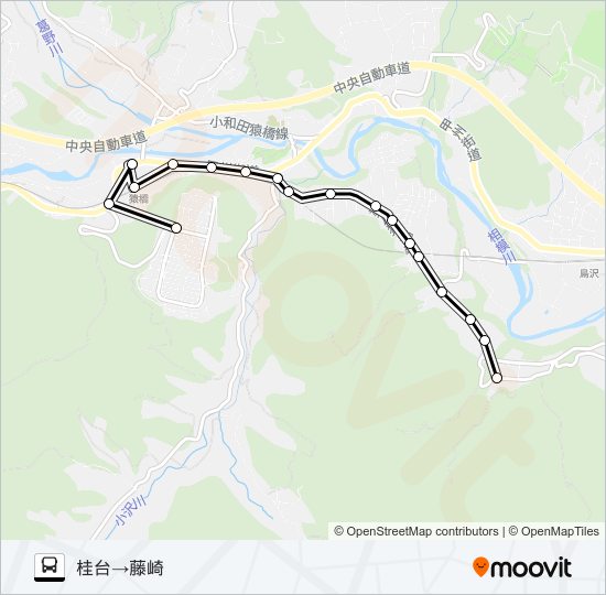 桂台発  藤崎方面行き バスの路線図