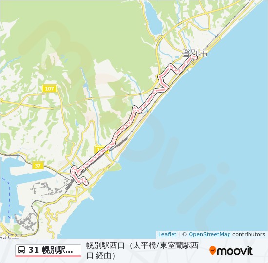 31 幌別駅線 東室蘭駅西口経由 ルート スケジュール 停車地 地図 幌別駅西口 太平橋 東室蘭駅西口 経由