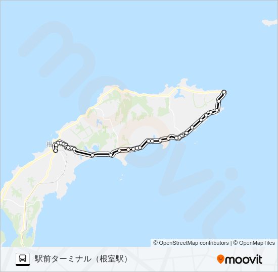 納沙布線 バスの路線図