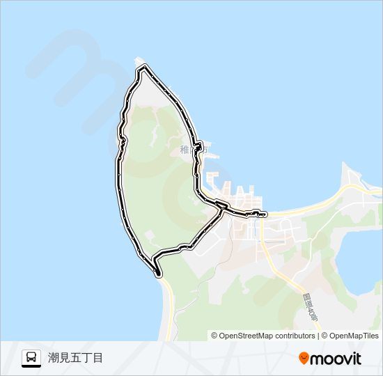 坂の下線 バスの路線図