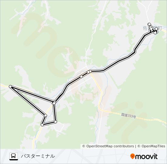 大成 バスの路線図