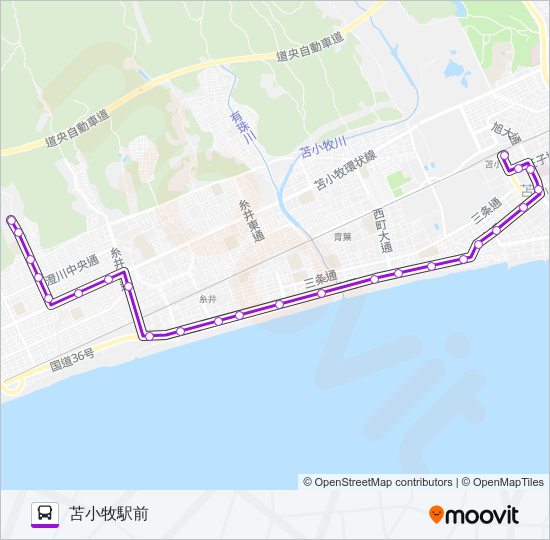 19 はまなす団地線 バスの路線図