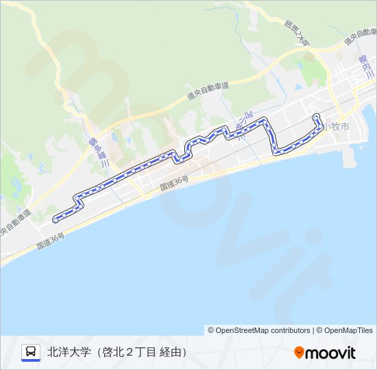 11 澄川錦岡線 バスの路線図