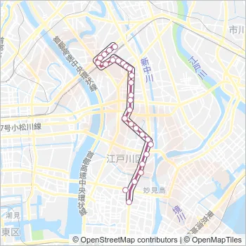 新小２９ Bus Line Map