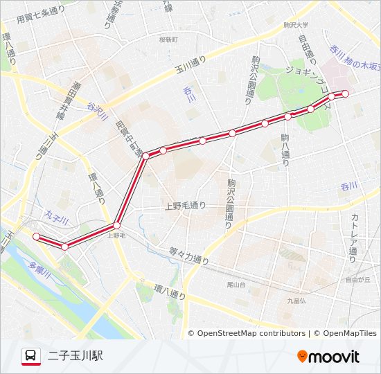 玉21ルート スケジュール 停車地 地図 二子玉川駅