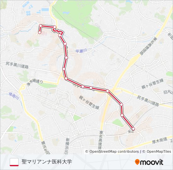 鷺31 bus Line Map