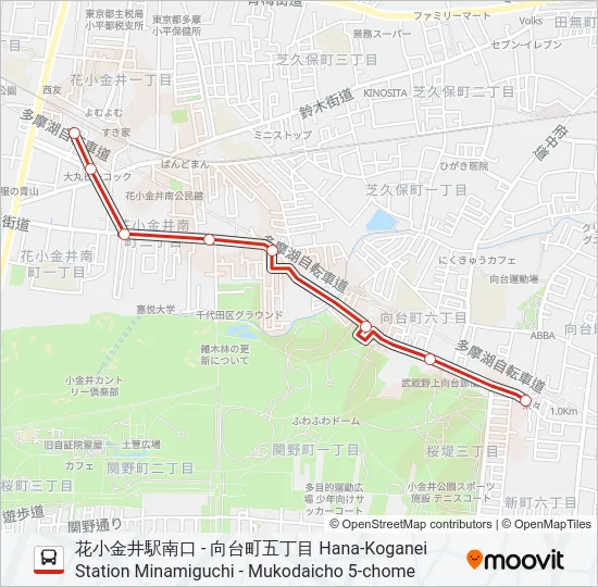 花21-A  Line Map